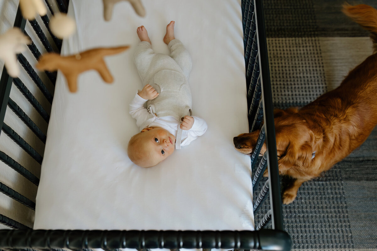 Austin-Lifestyle-Photographer-CarlsonNewbornStory-35