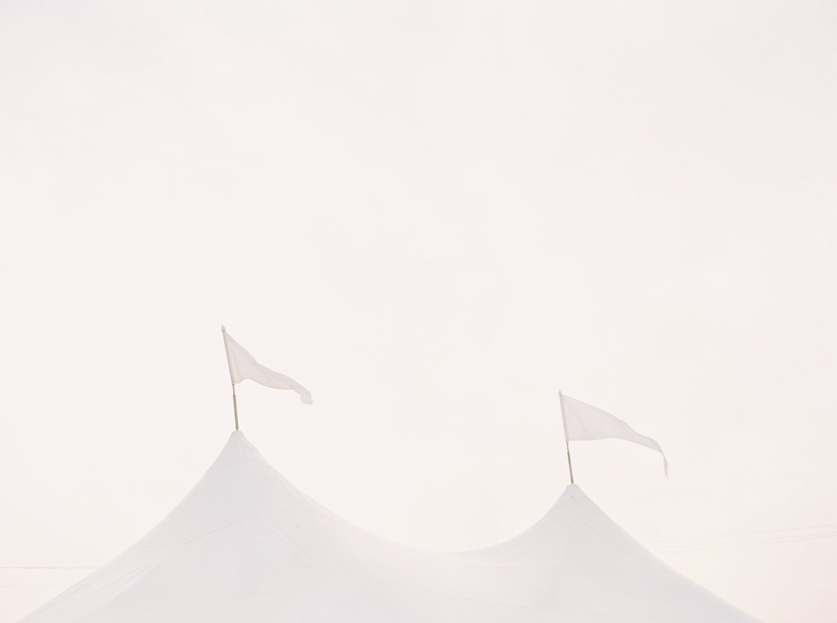 42356_12