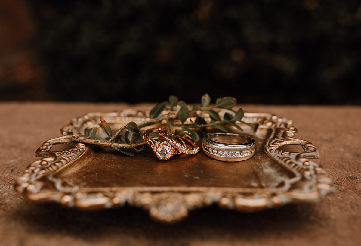 boulder colorado elopement