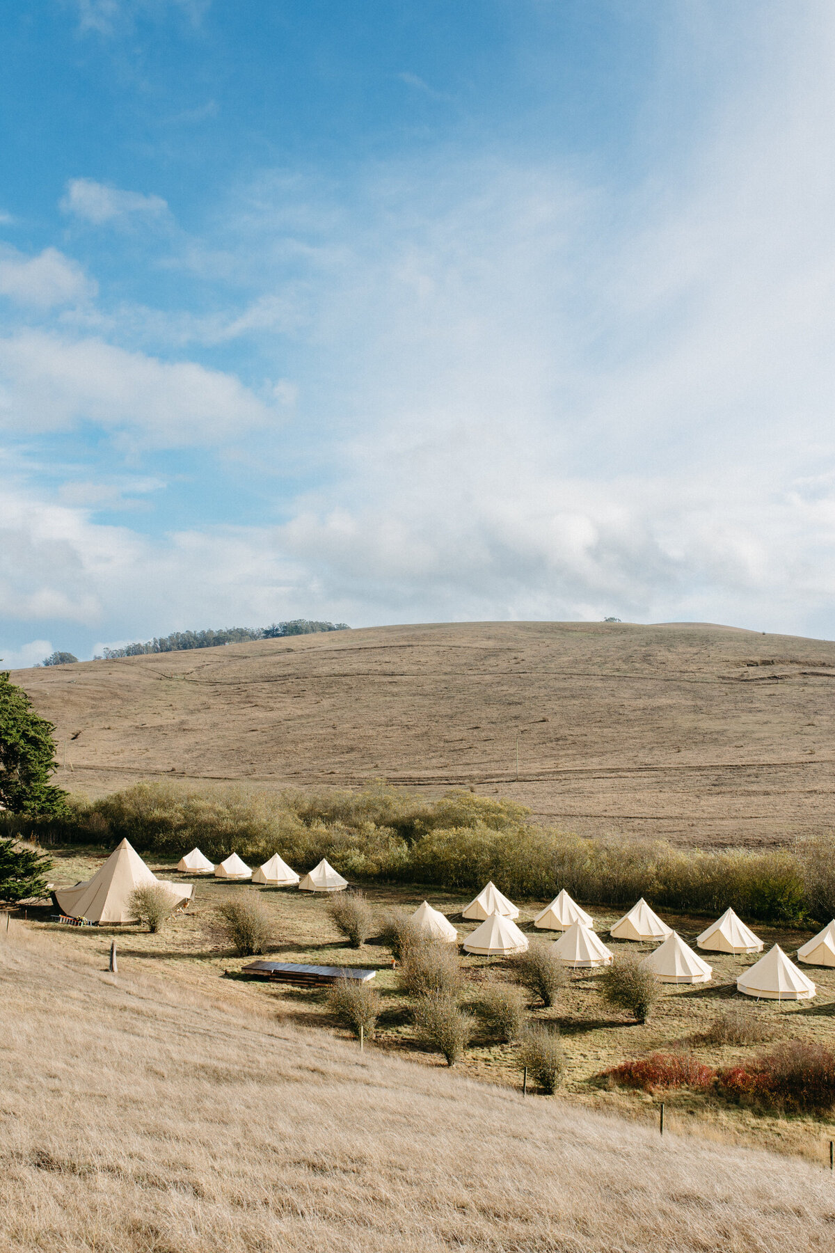 Shelterco_Stemple_creek_November_2022_danipadgett202230813