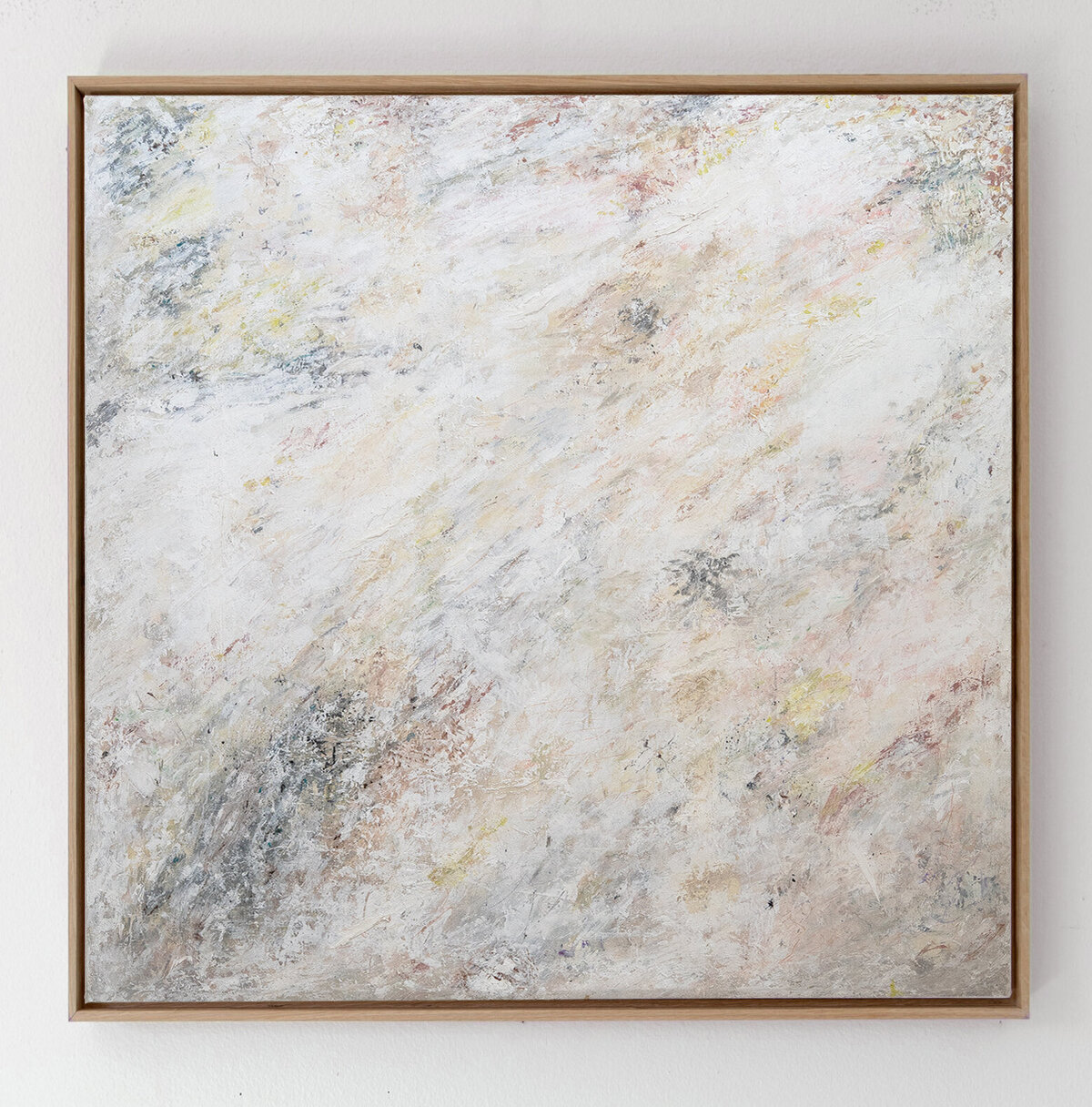 calyopsi close abstract art