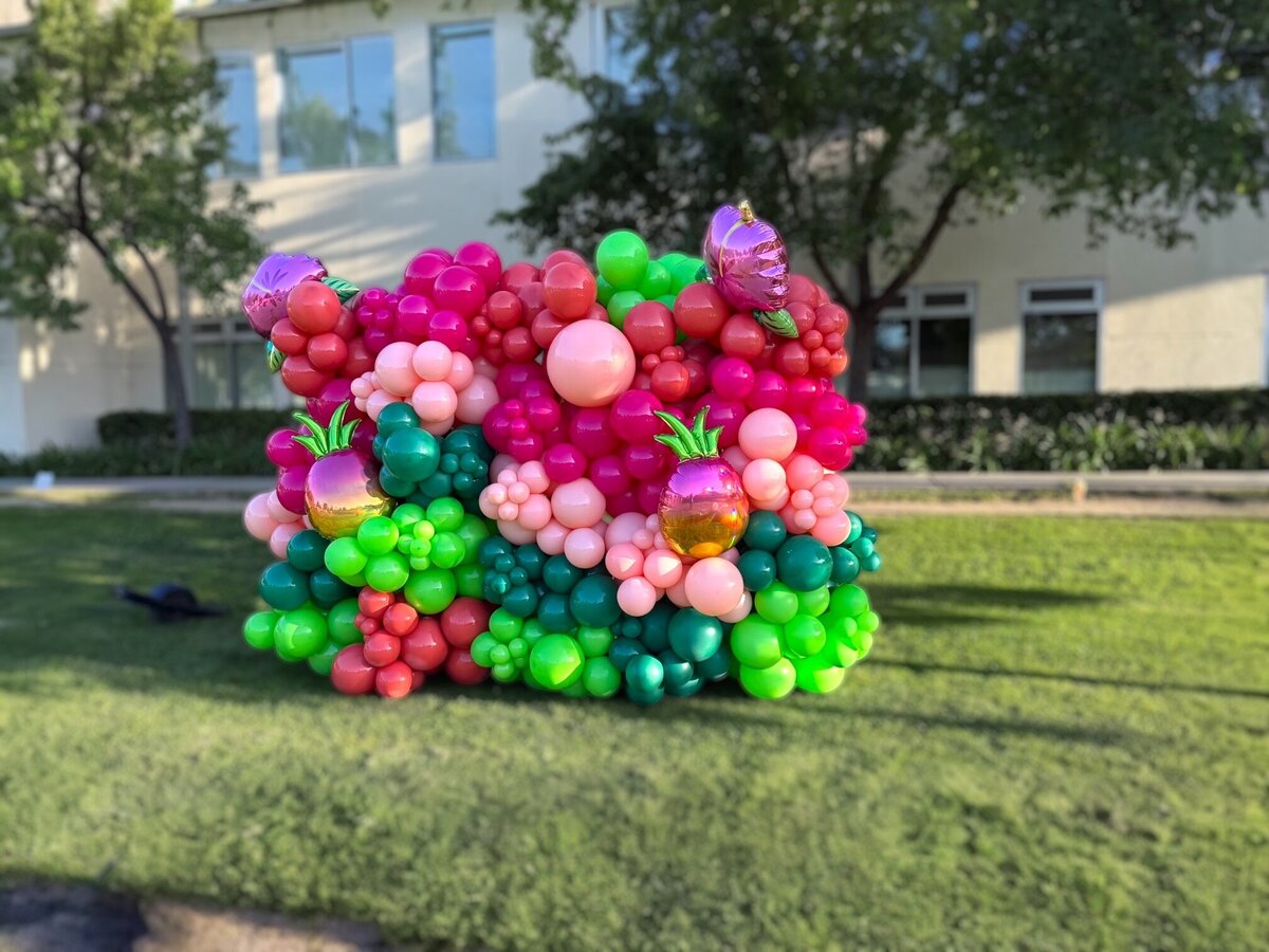 Balloons Orange County 418