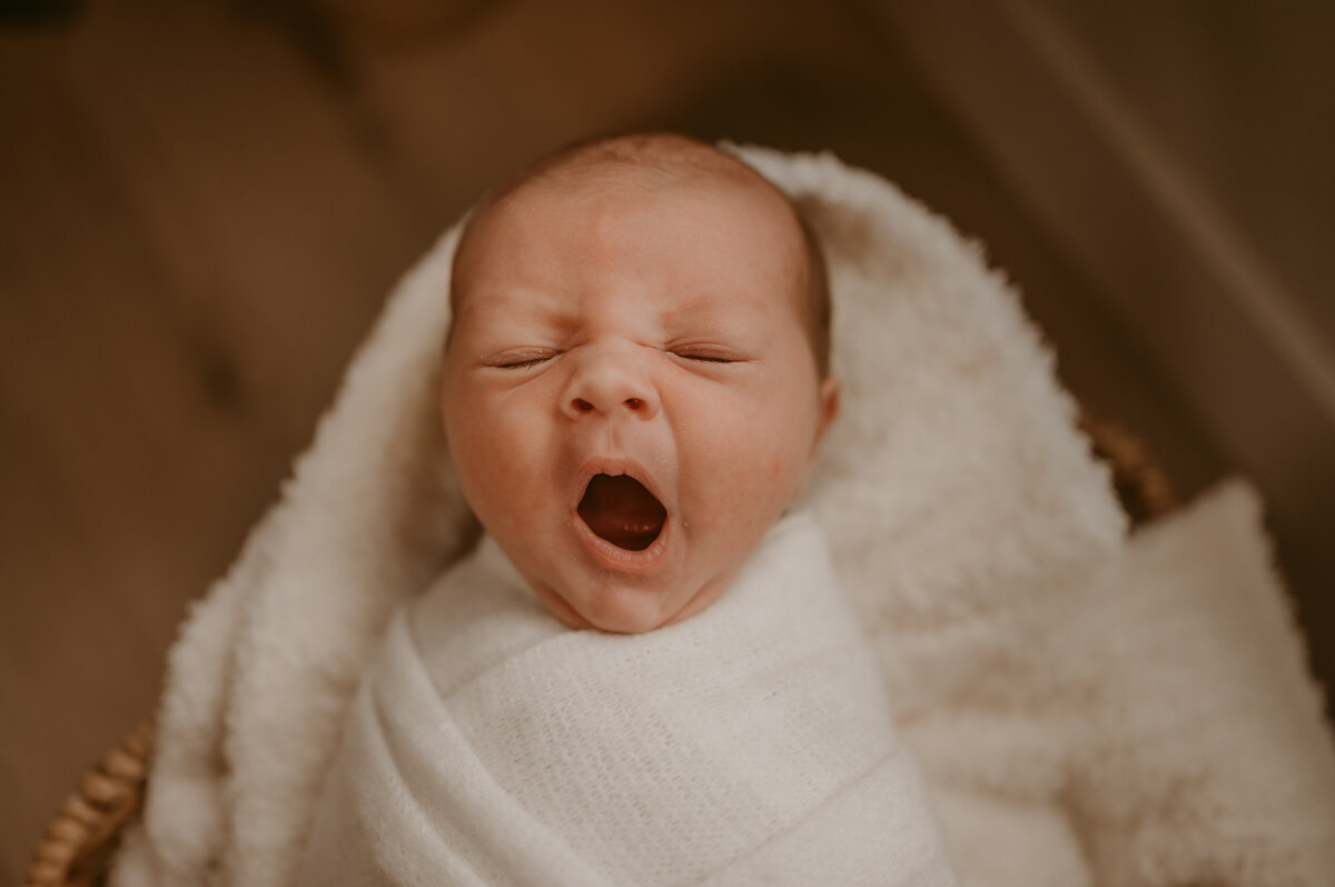 wisconsin_newborn_photographer | Grace + Honey Photo-6