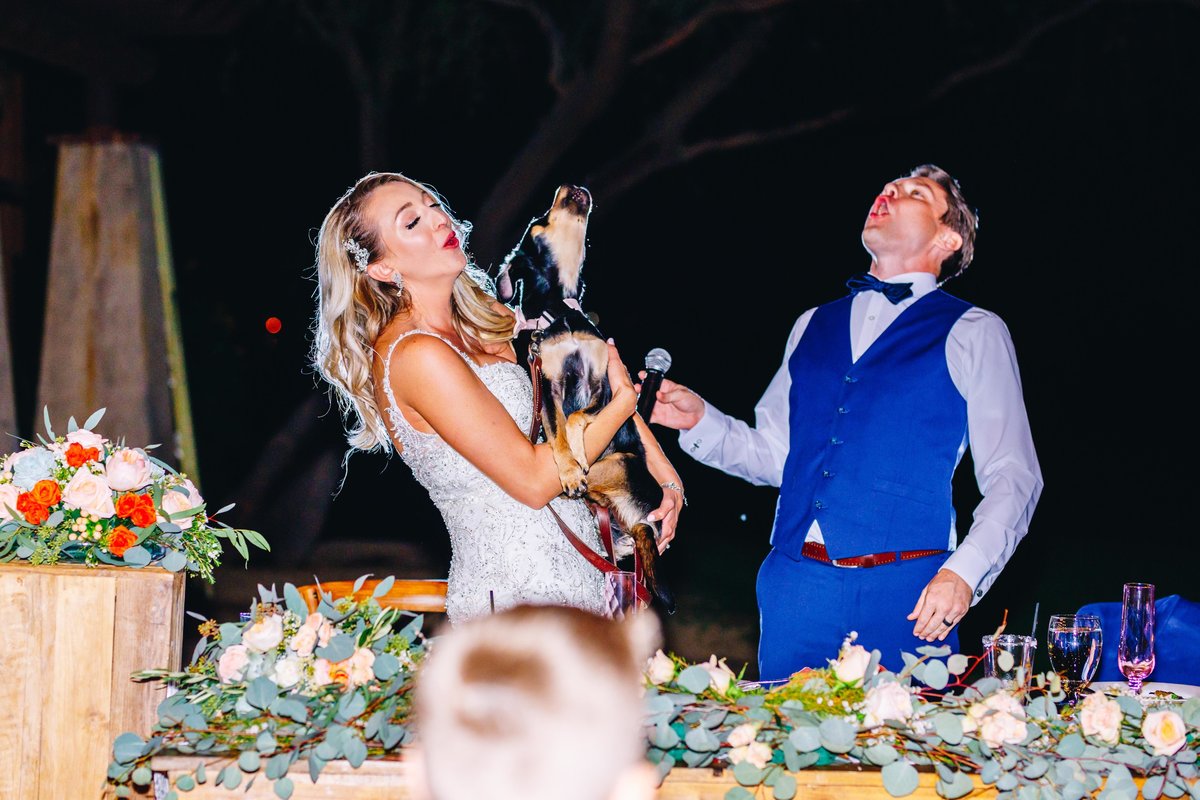 bride groom and four legged ring bearer howling at the moon