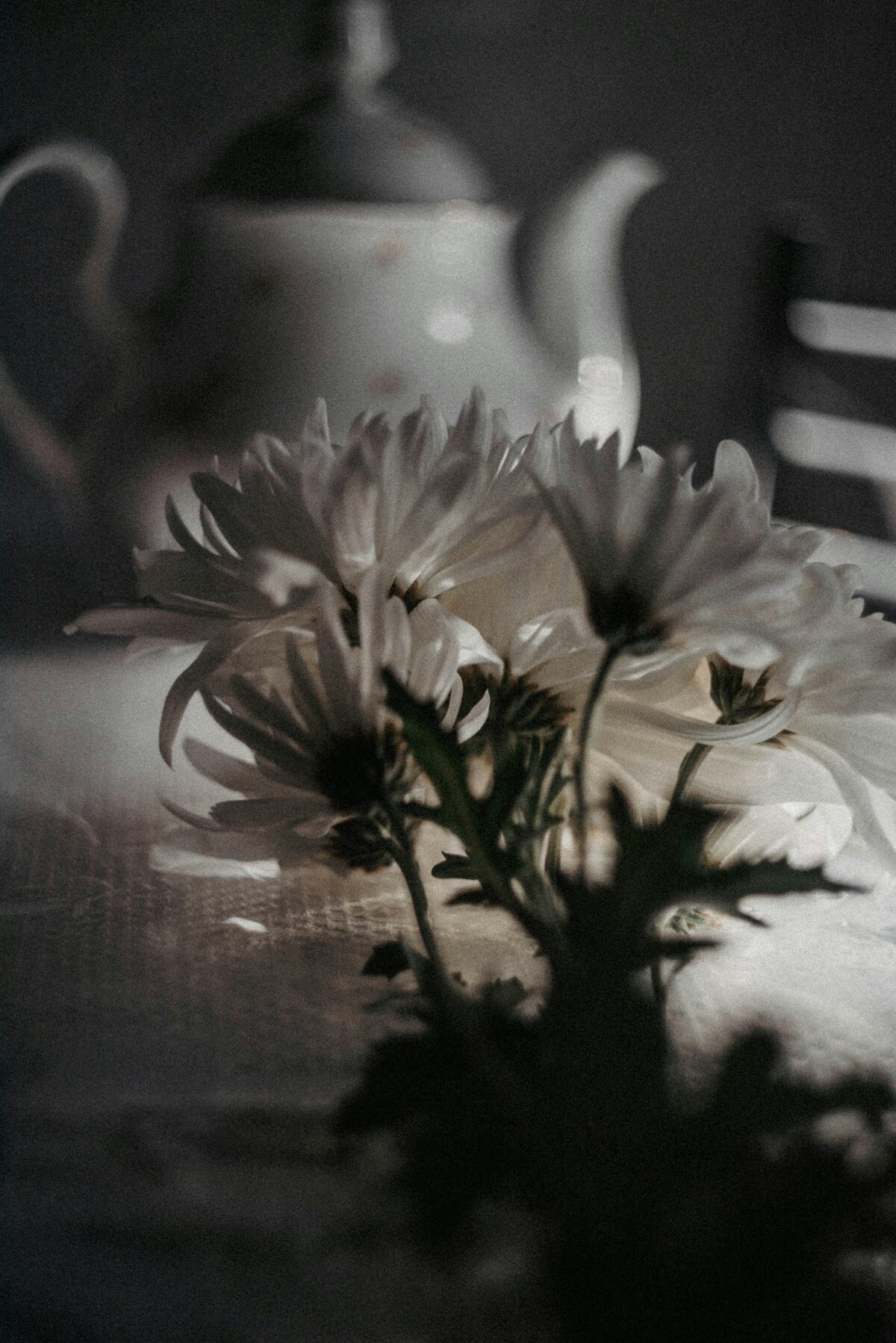 pexels-84330351-14438881