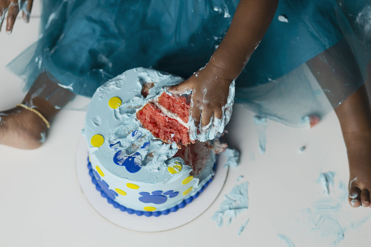 Hampton Georgia cake smash photographer, Atlanta cake smash photographer, jonesboro Georgia cake smash photographer, Fayetteville cake smash photographer, Mcdonough cake smash photographer