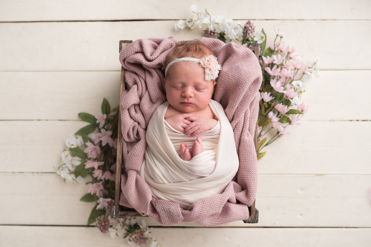 Hanover Pennsylvania Newborn Photography