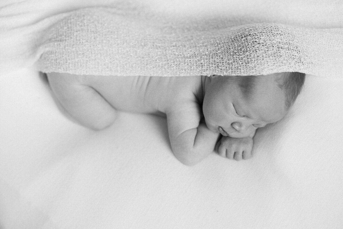 louisville-newborn-photographer-missy-marshall-19