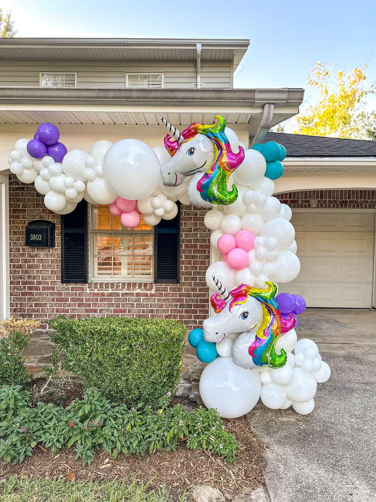 houston - balloons 11