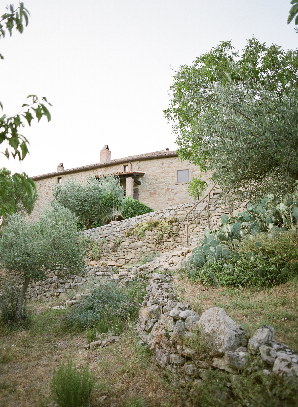 Les_Anagnou_tuscany_23072018_29
