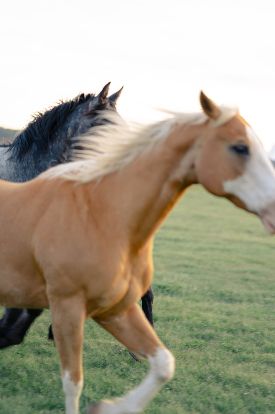 Diamond-cross-ranch-wedding-J-NFoxtails-photography-180