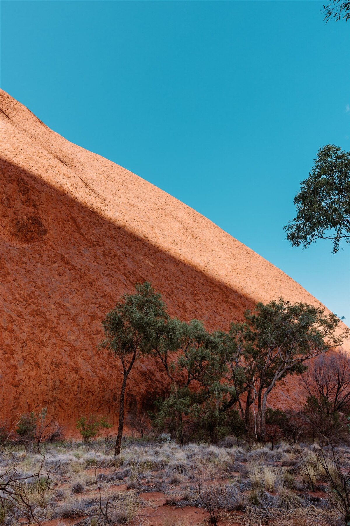 Uluru-Kata-Tjuta-32