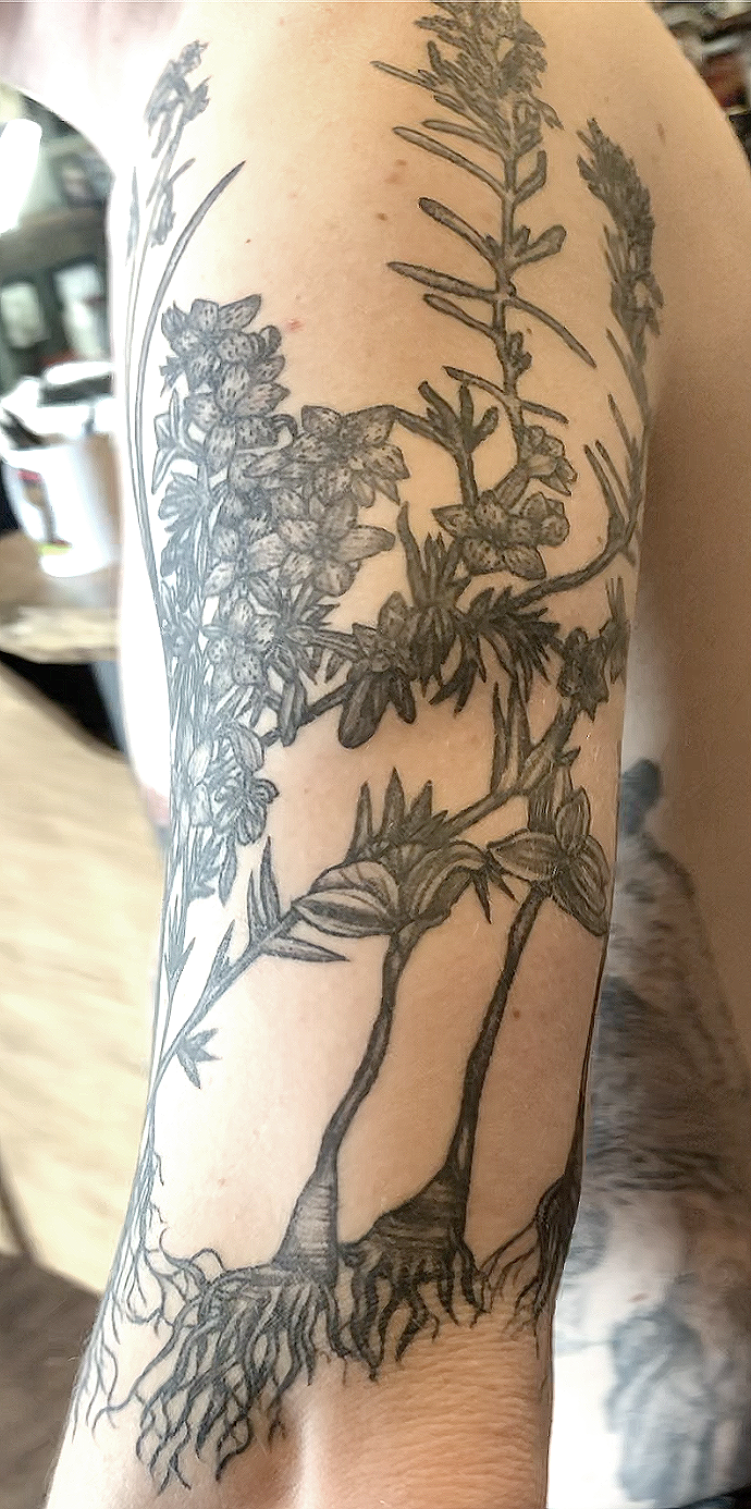 CCC_Botanical sleeve_3