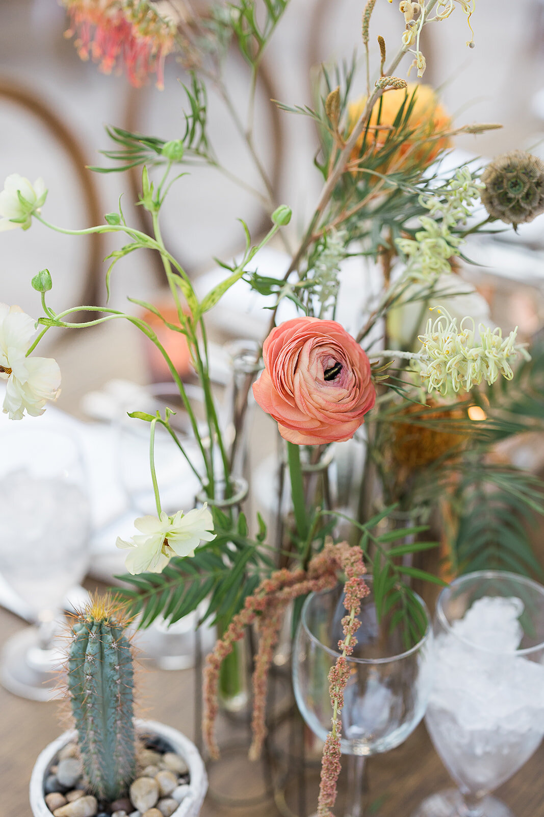 Scottsdale Wedding - Tara Nichole Photo - 2023 - Kenna and Harrison-345