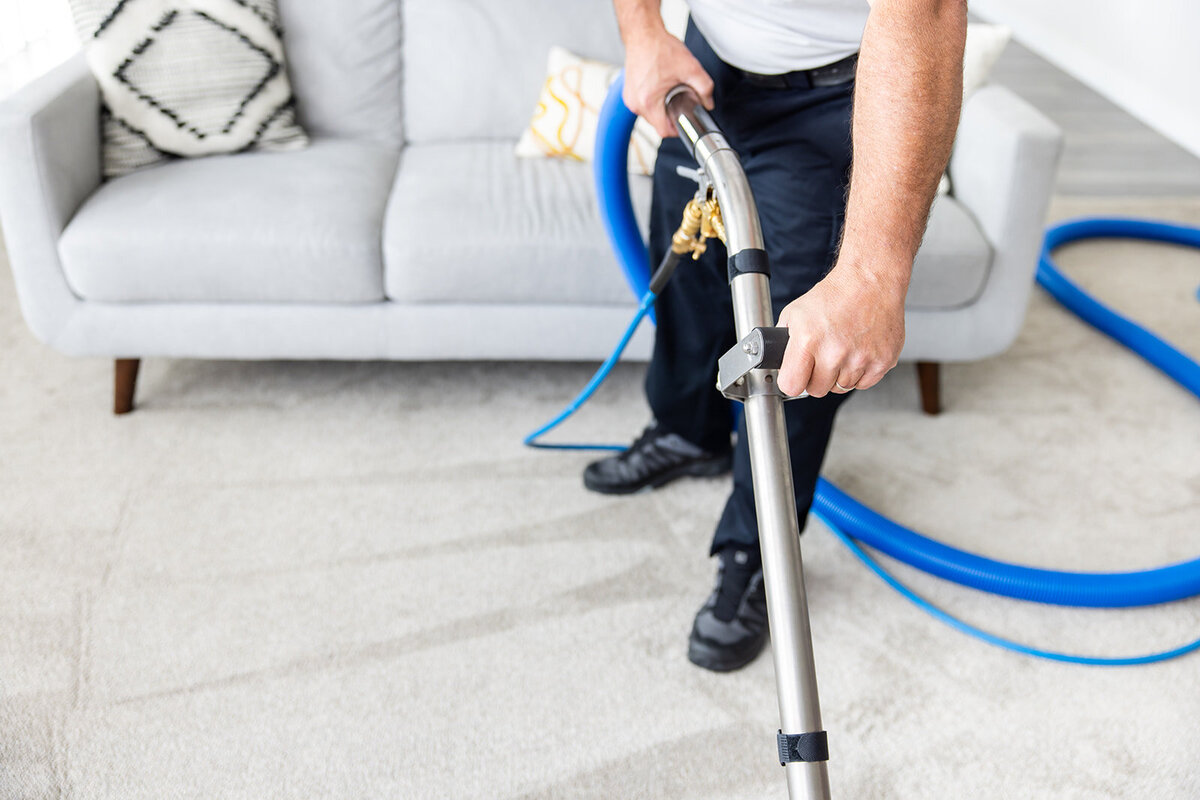 CarpetDetective-157_websize
