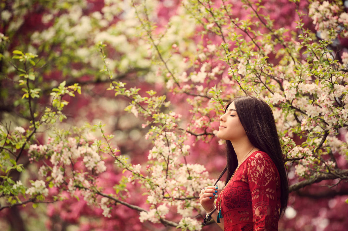 senior portrait of girl in red dress in blooming tress for nature photos