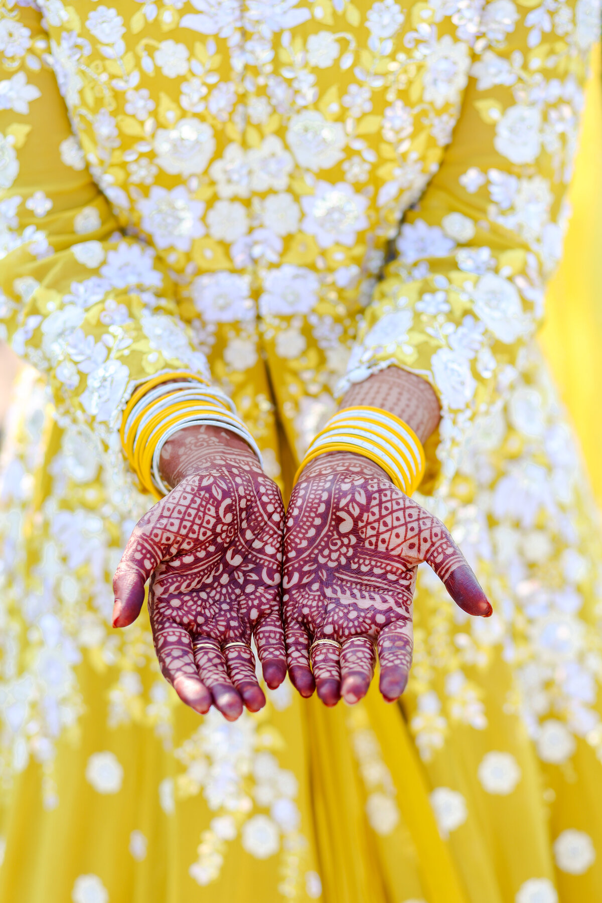 Nadia & Ehsan Sneak Peeks (13 of 90)