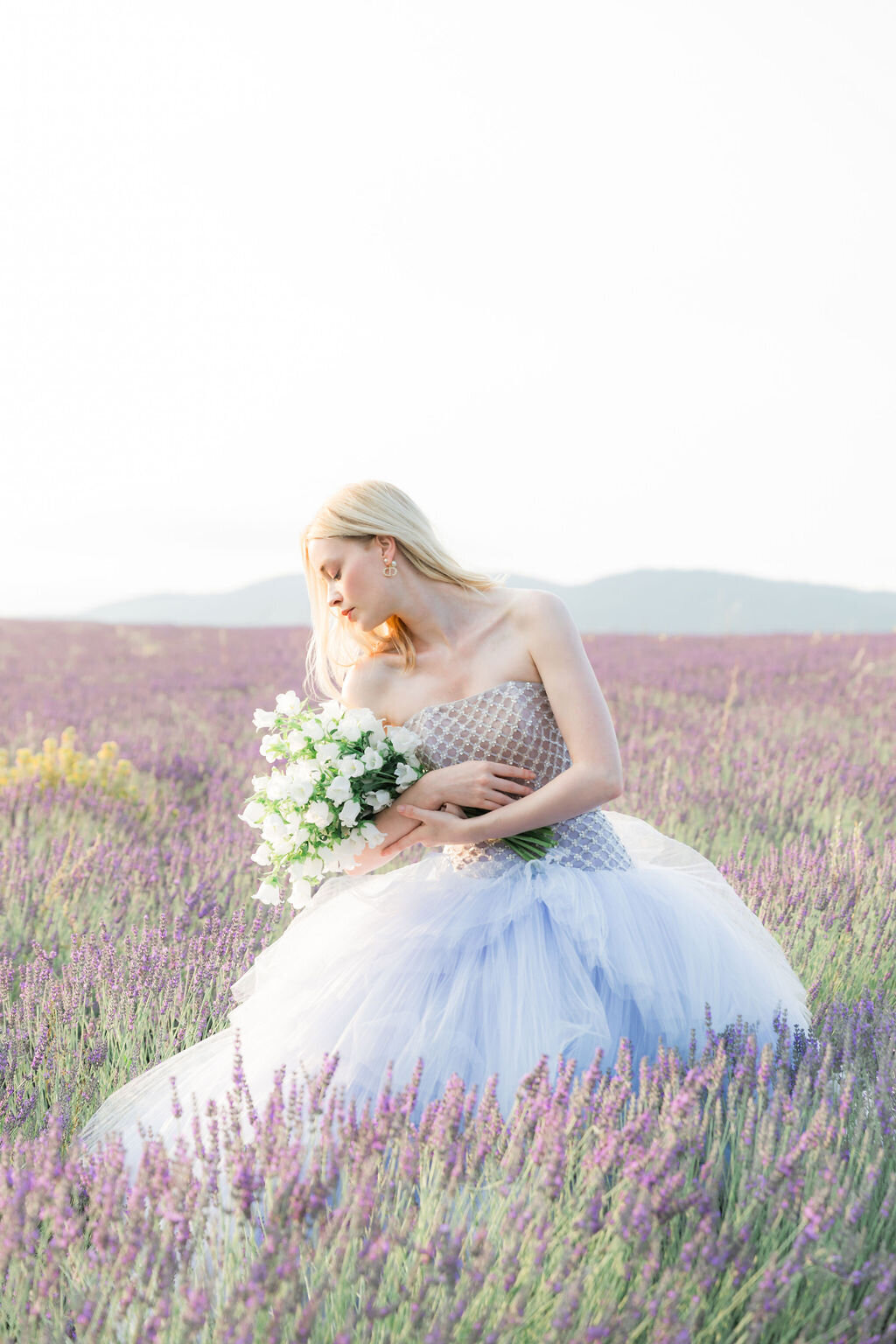 IRP-LavenderFields2024-23edit