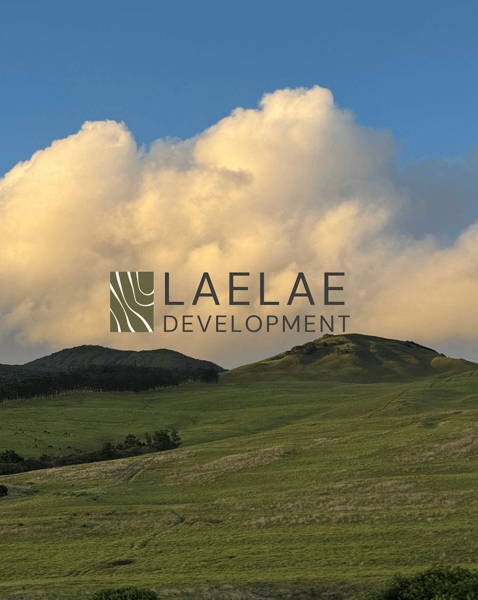 Professional custom branding for Laelae Development by Studio Chan