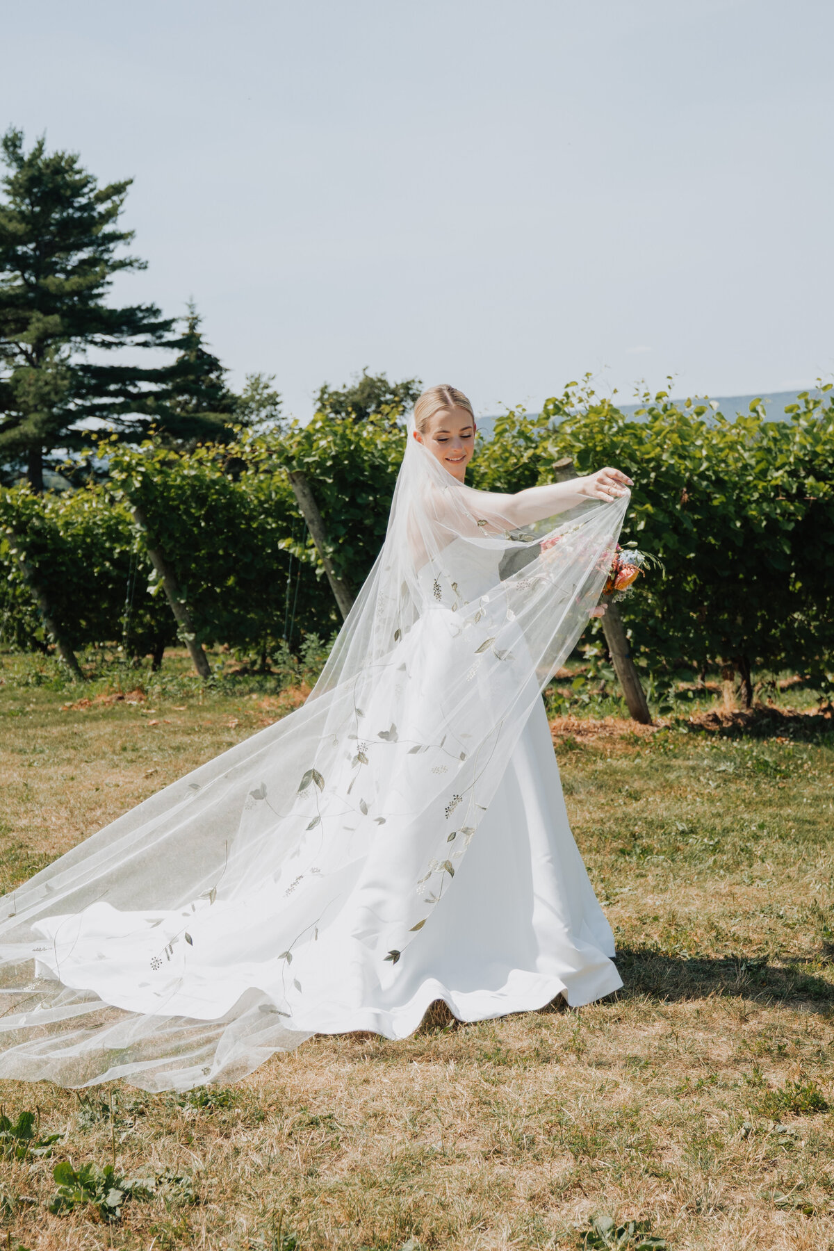 20250726_Jen+Iain_Wedding_Previews_Dave_and_Pring_Photography_Planters_Ridge_Port_Williams_Nova_Scotia_29