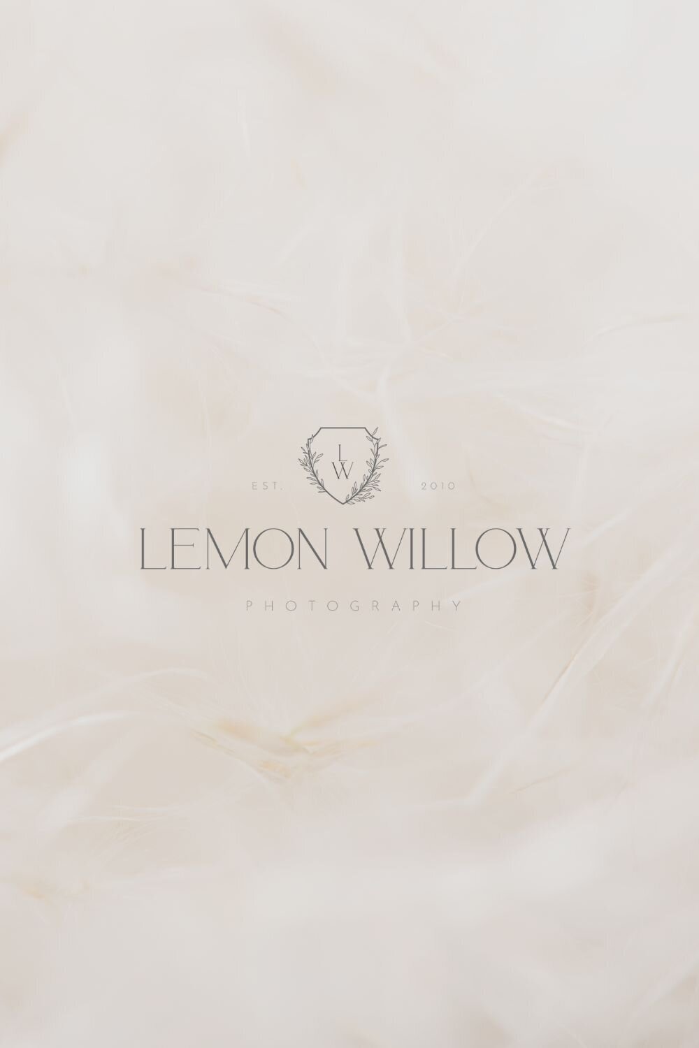 Branding for photographers that needs a modern and sophisticated brand. With a beige and earthy color palette it works for both wedding and family photographers