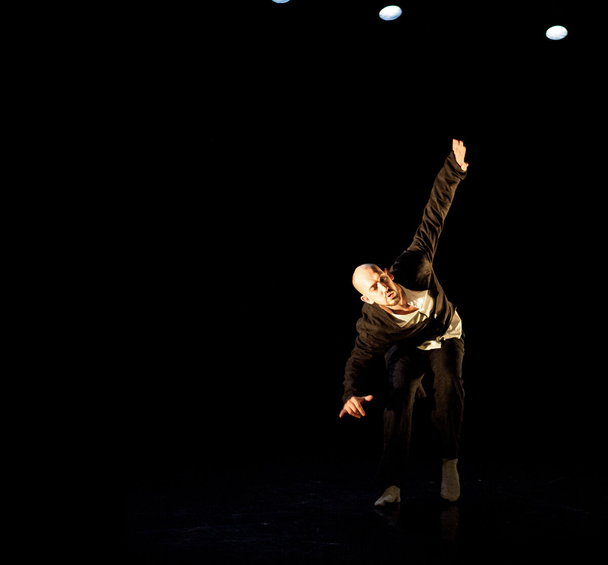 PINGOUIN ©Marie Charbonnier PA200048
