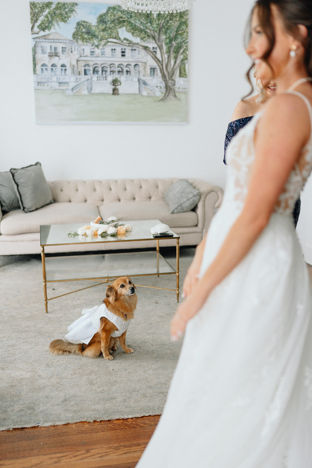 Bella Cosa Wedding Photography Videography Lake Wales Florida