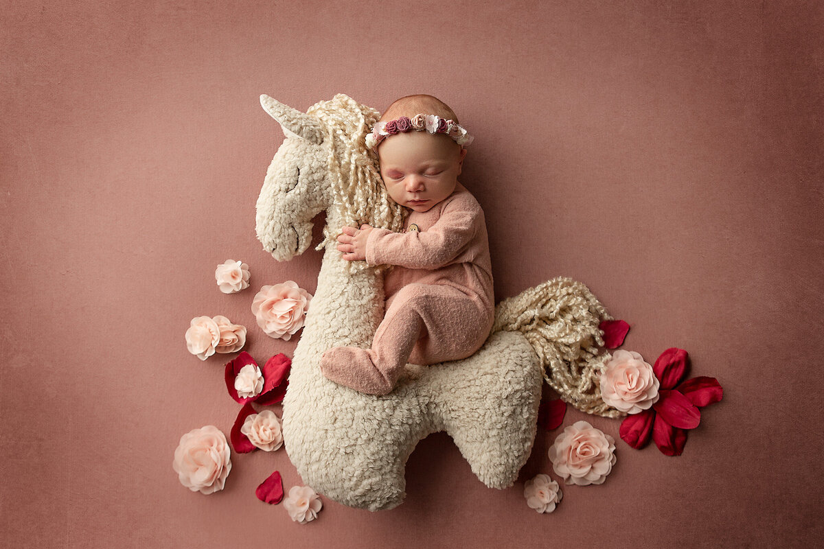 dayton-ohio-newborn-photographer-near-tipp-city-and-beavercreek-baby-girl-in-pink-footed-romper-hugging-stuffed-animal-llama-amanda-estep-photography
