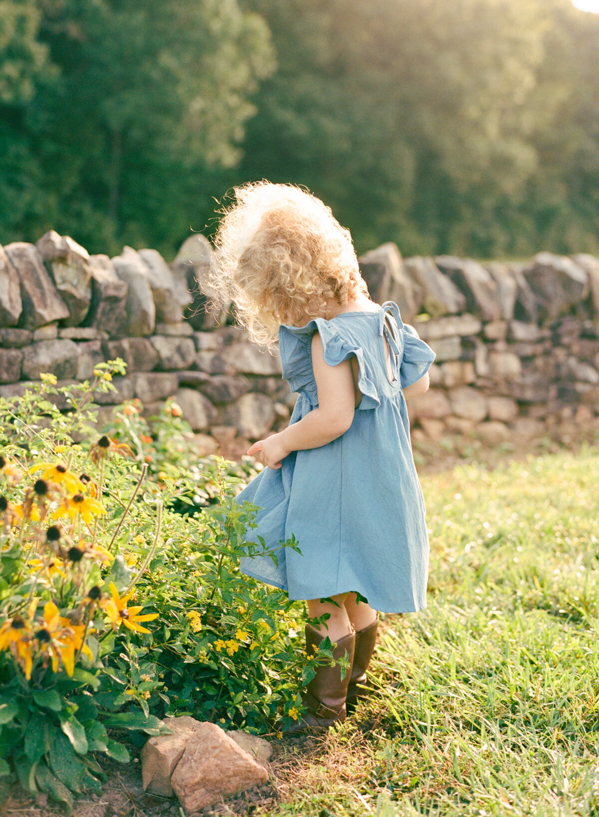 Toddler daughter with bright blonde curls looks at flowers. Image by Raleigh maternity photographer A.J. Dunlap Photography.