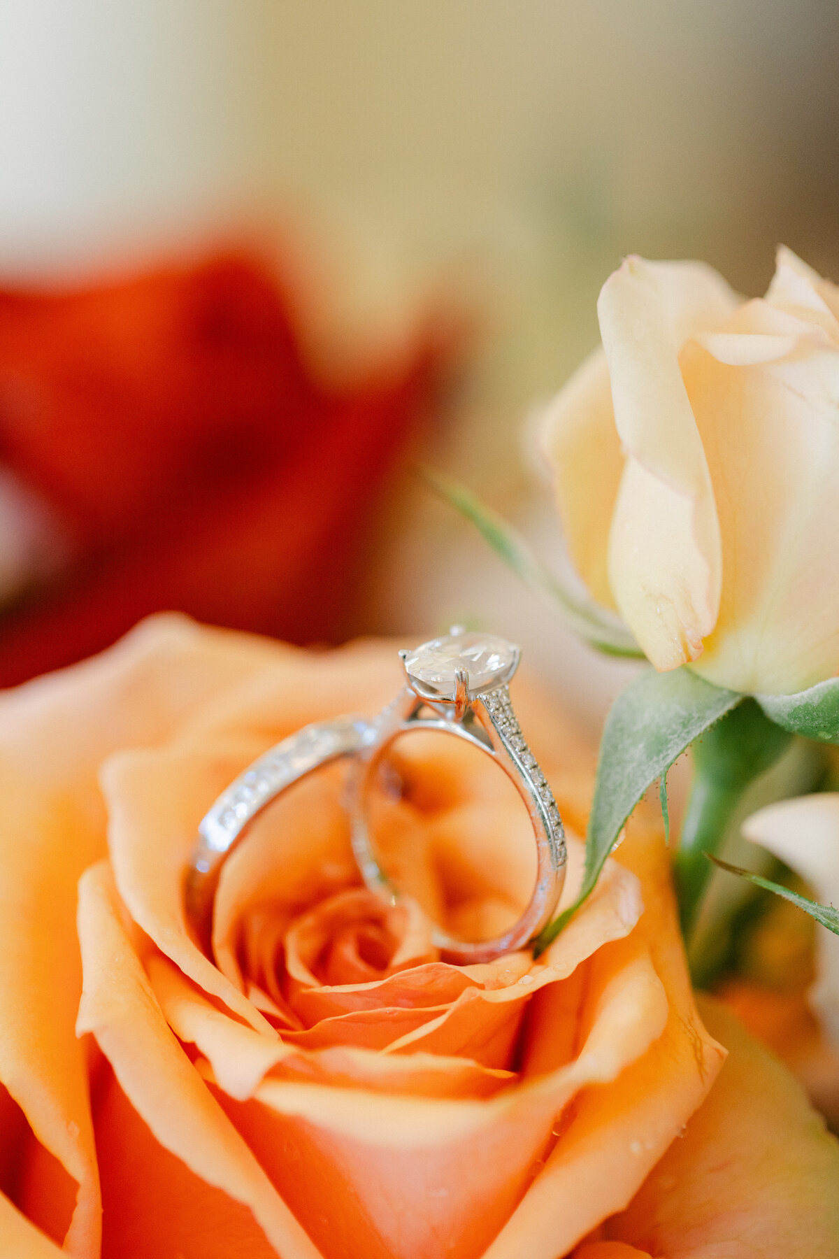 Maddie + Marcus Wedding-25