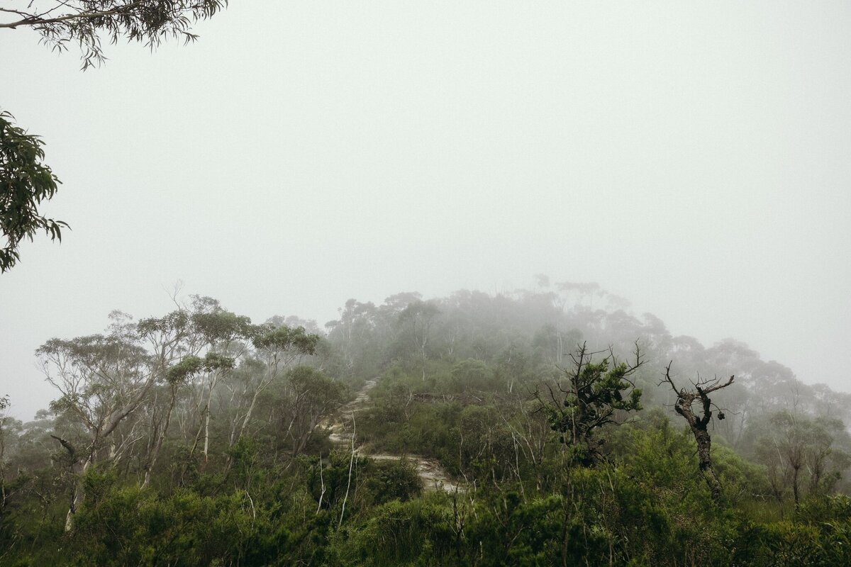 Crystal-Jack-Blue-Mountains-Elopement-8