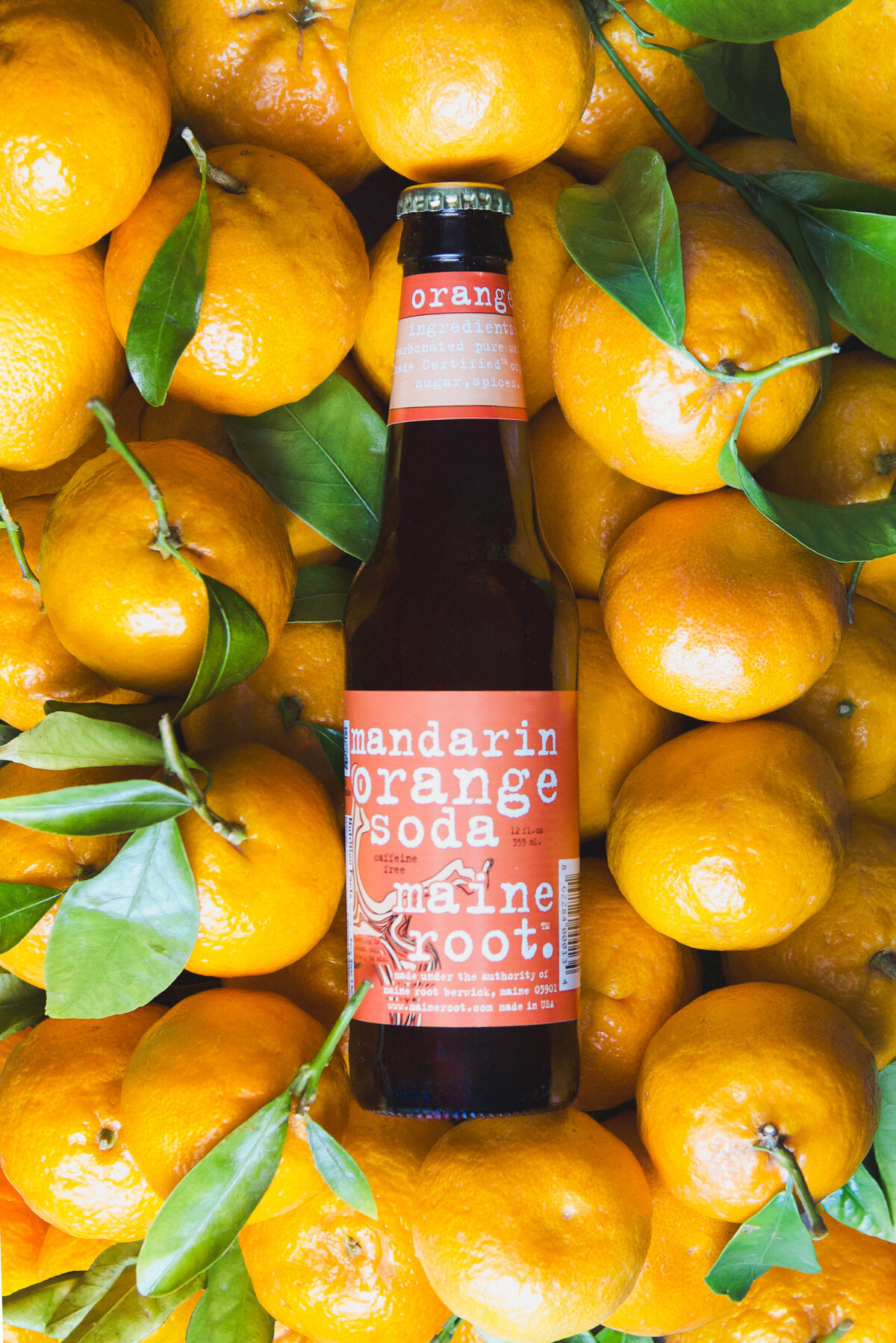 Maine Root Bottle MO