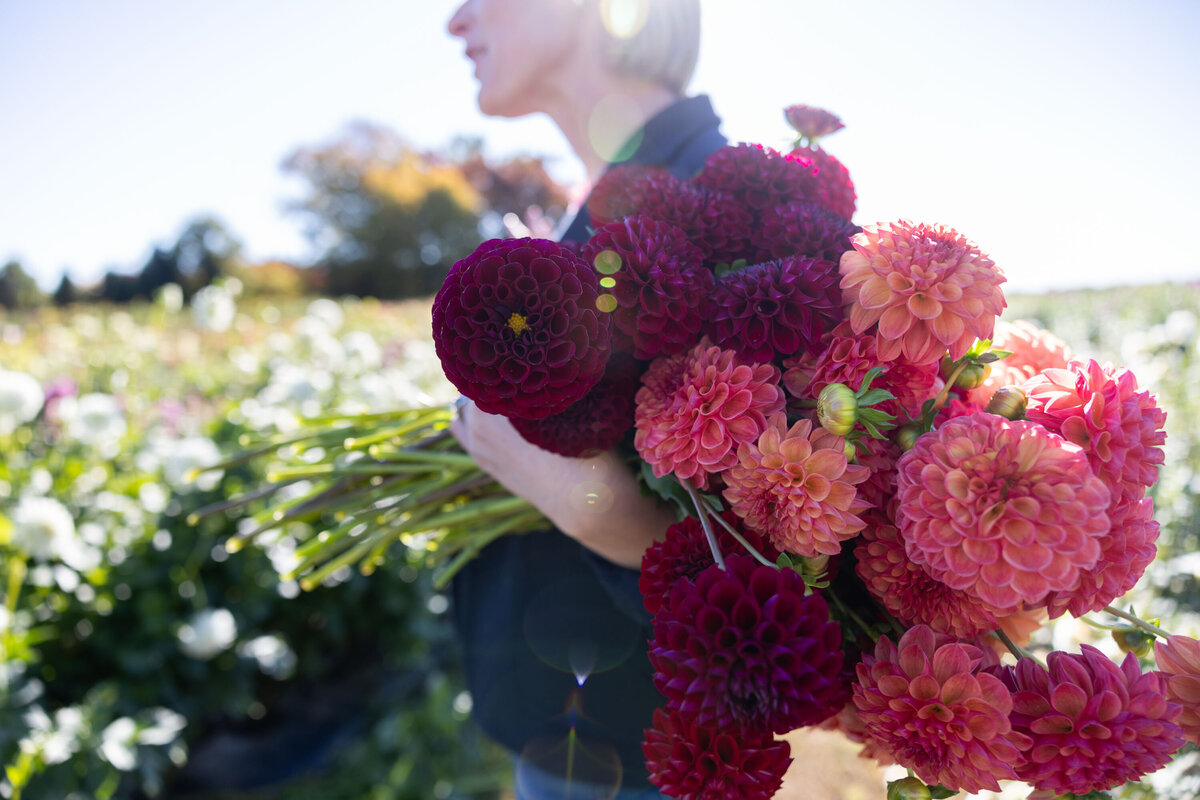 ct-brand-photography-Dahila-Farm