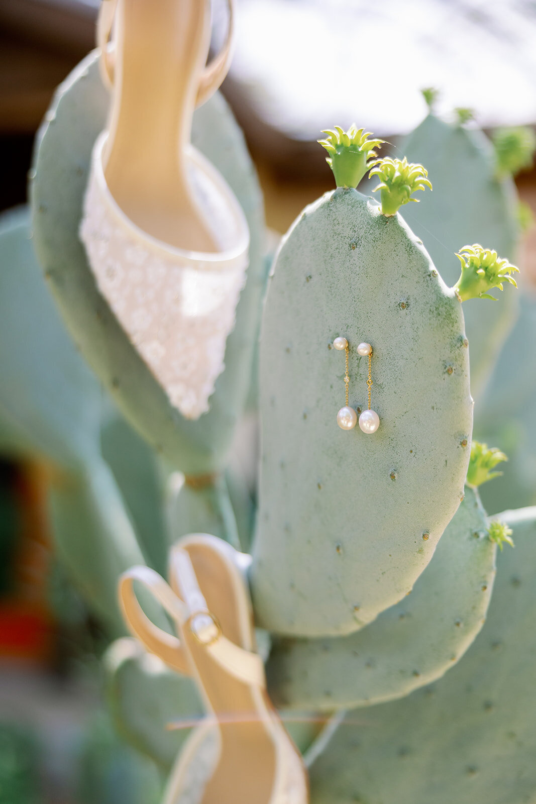 LyonsWedding_0002