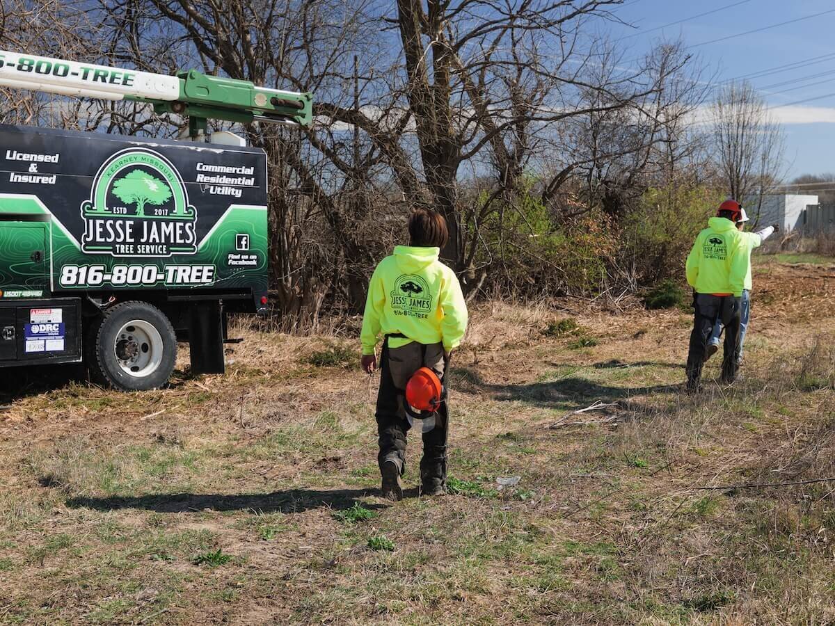 Jesse-James-Tree-Service-Kearney-MO-30