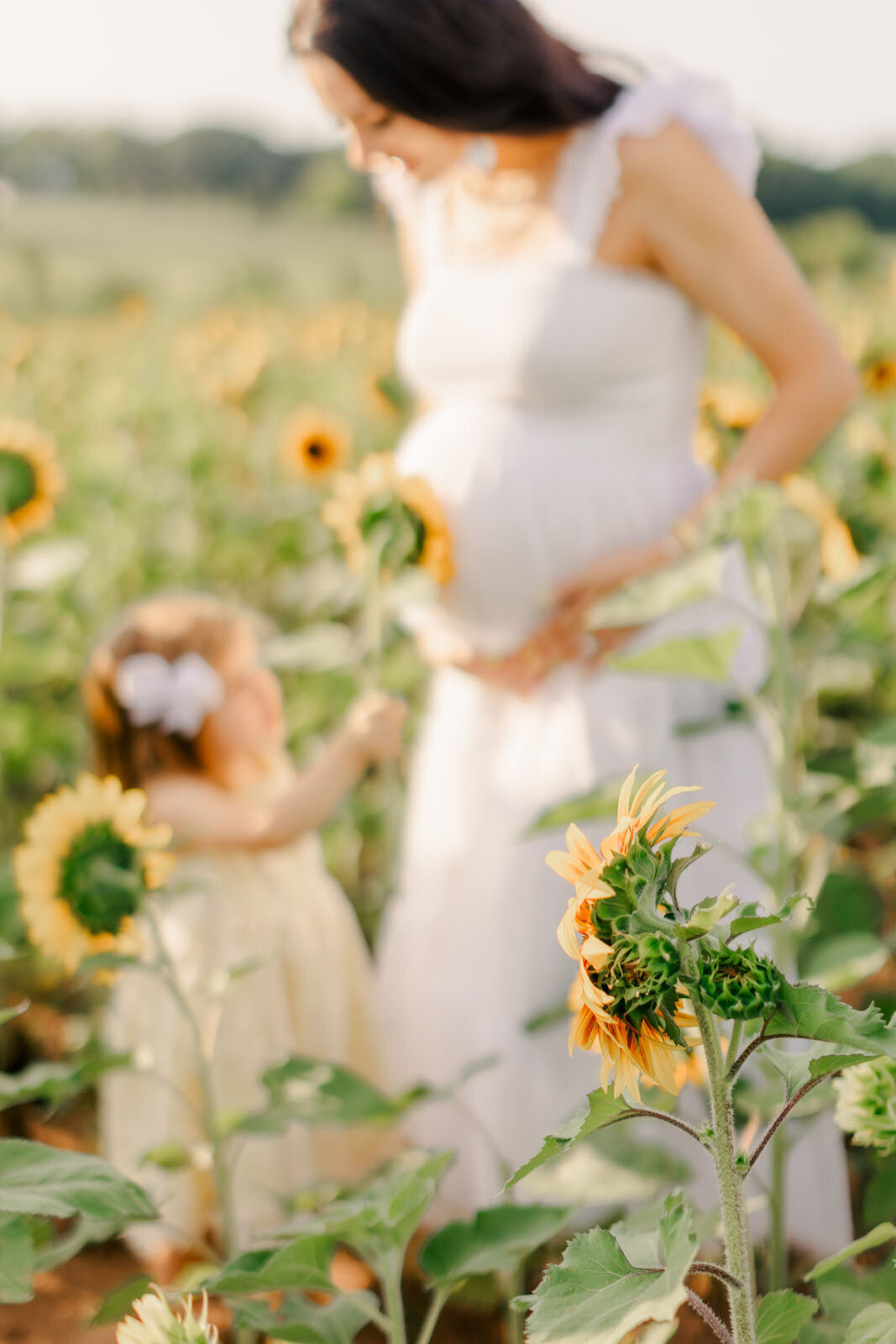 CarterMaternity-57