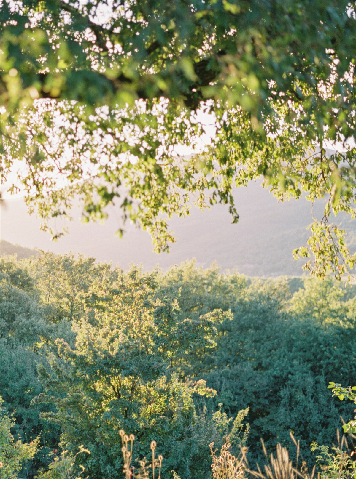 Tuscany Wedding Jamie and Brandon Lauren Fair_Websize_004