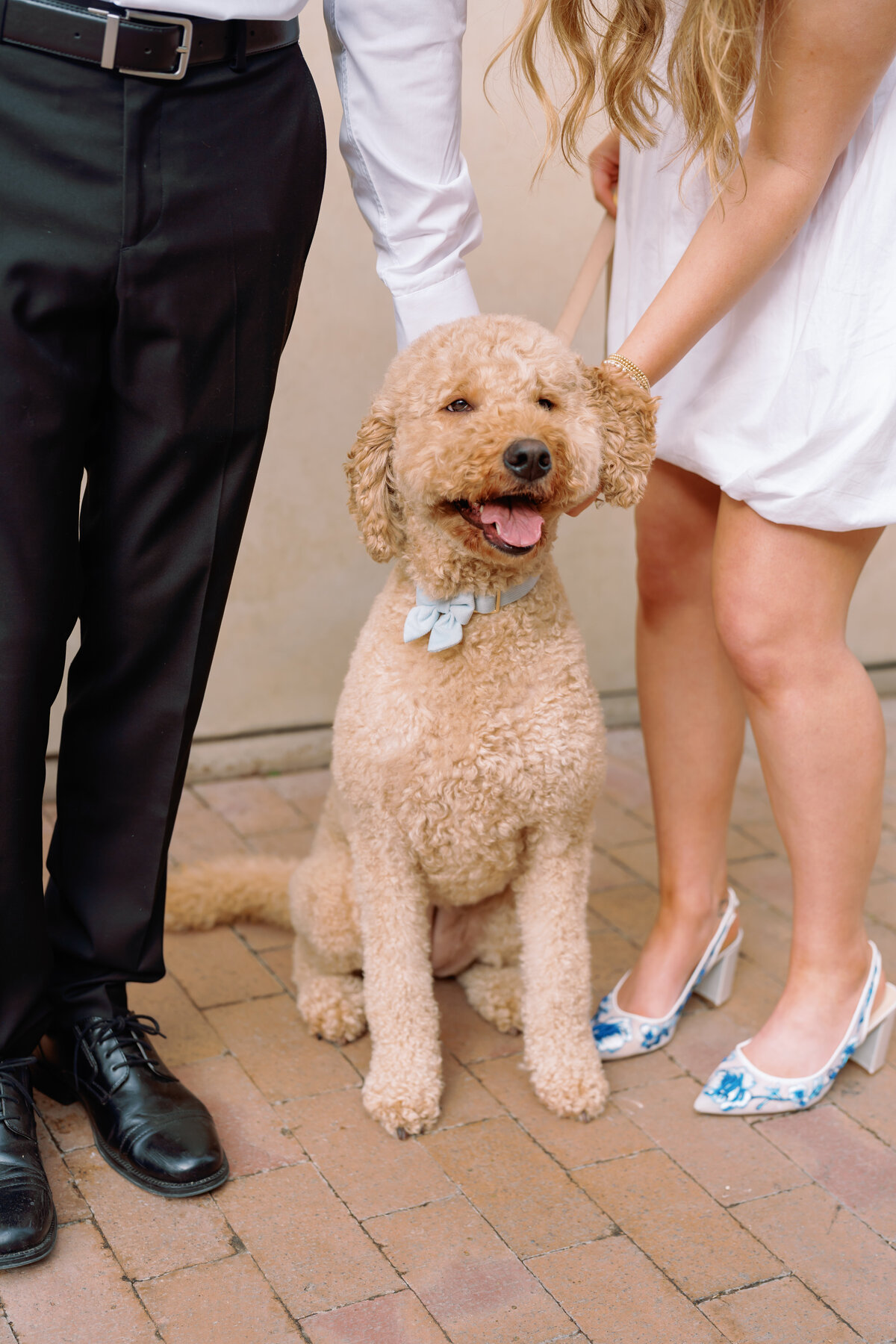 Sydney Loginov Engagement Edits-23