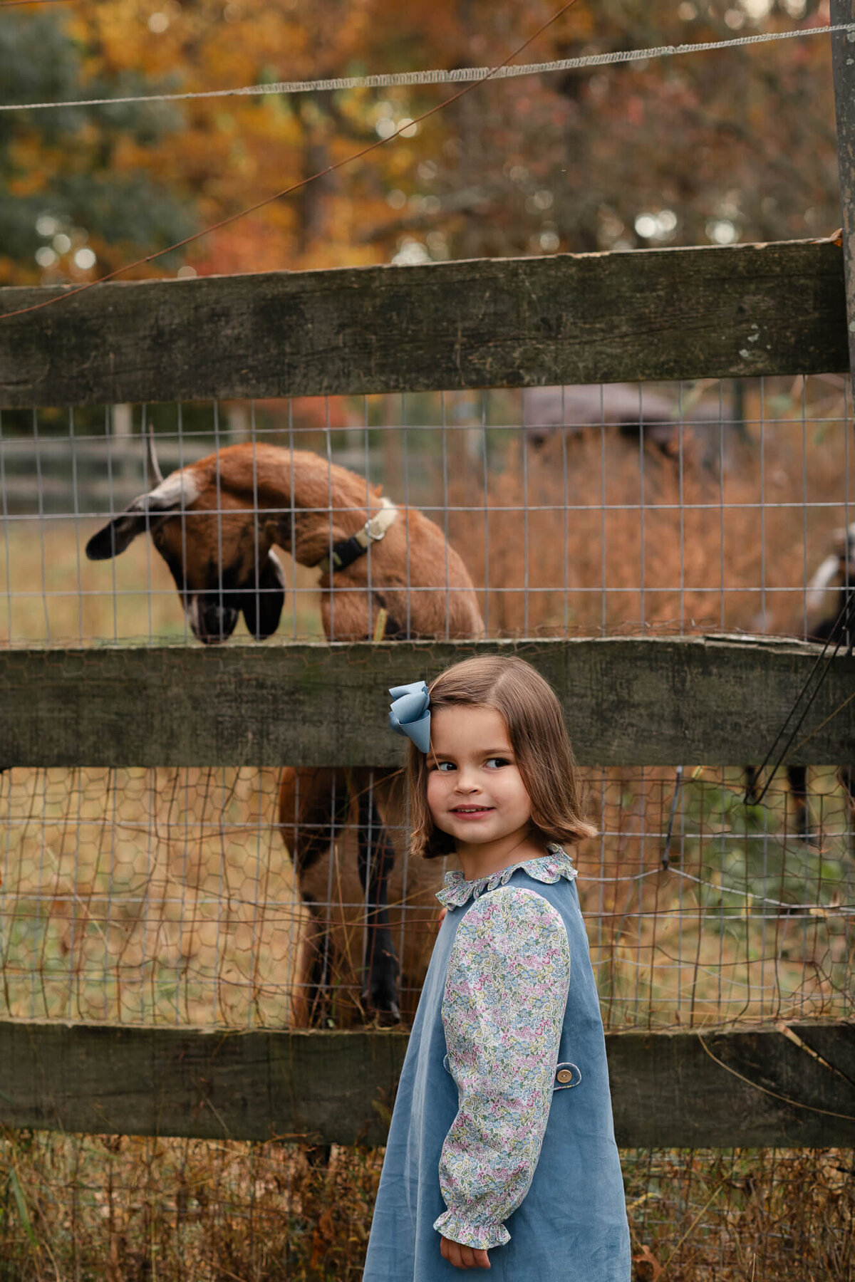 hudson-new-york-family-mini-session-jamie-shields-photography-25