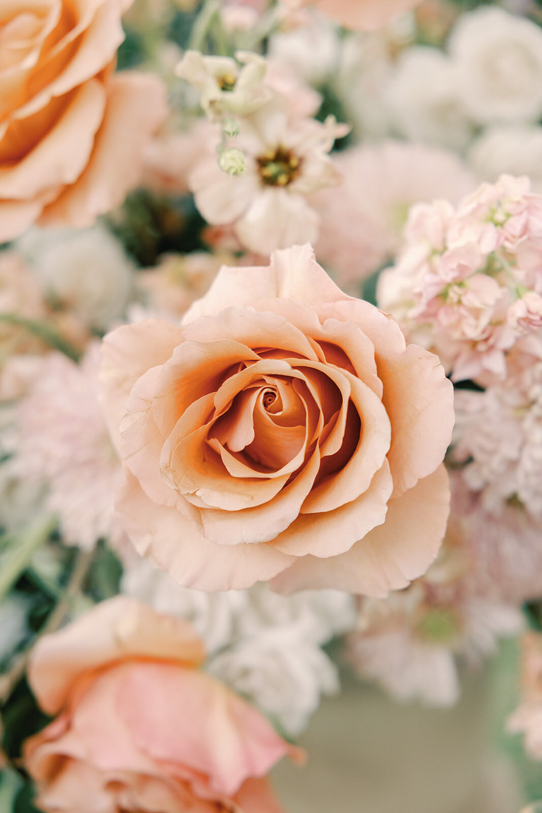 maitland-art-center-wedding-022