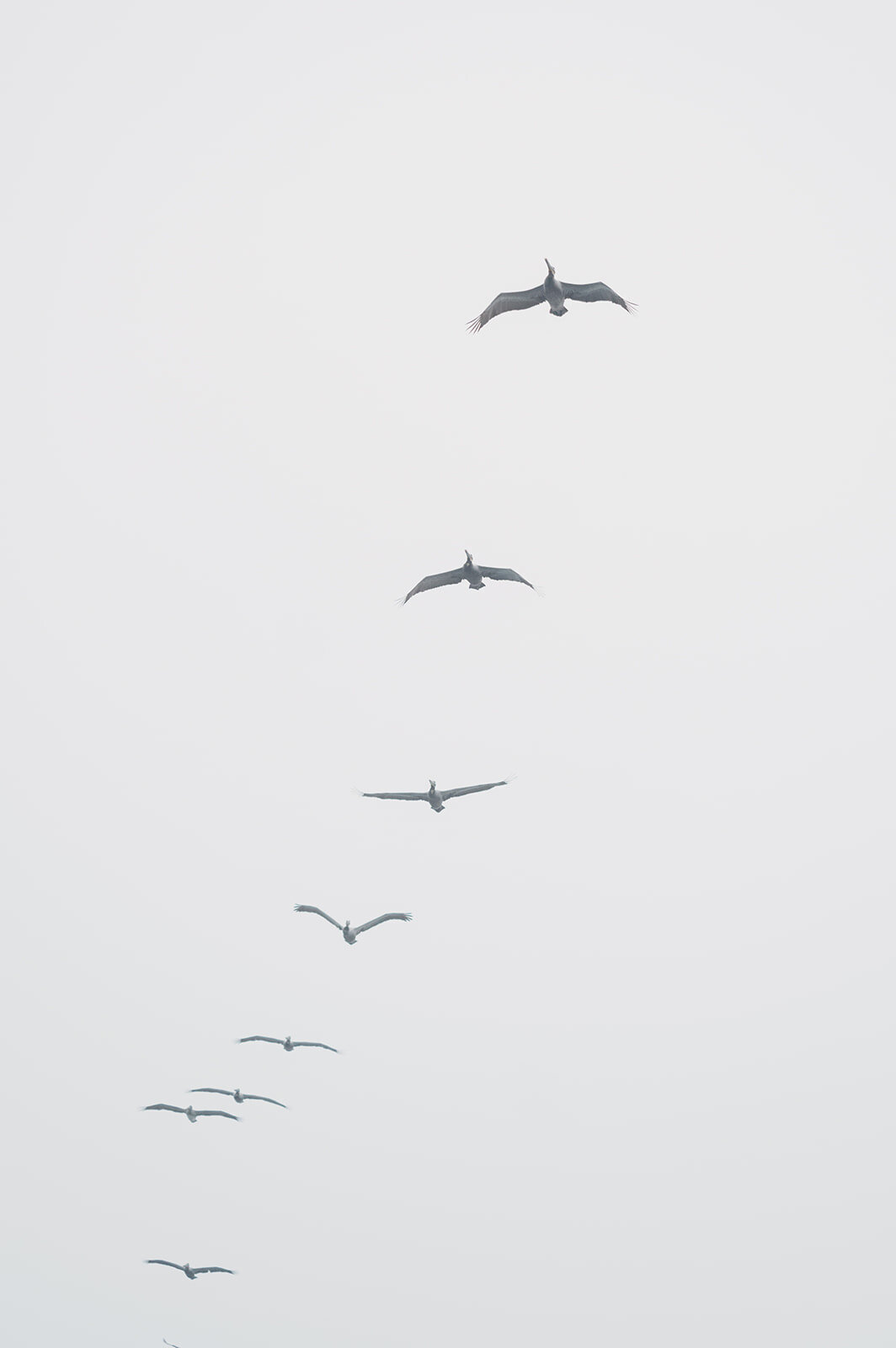 Photography_Hybrid_Wedding_Photos_2025-0686