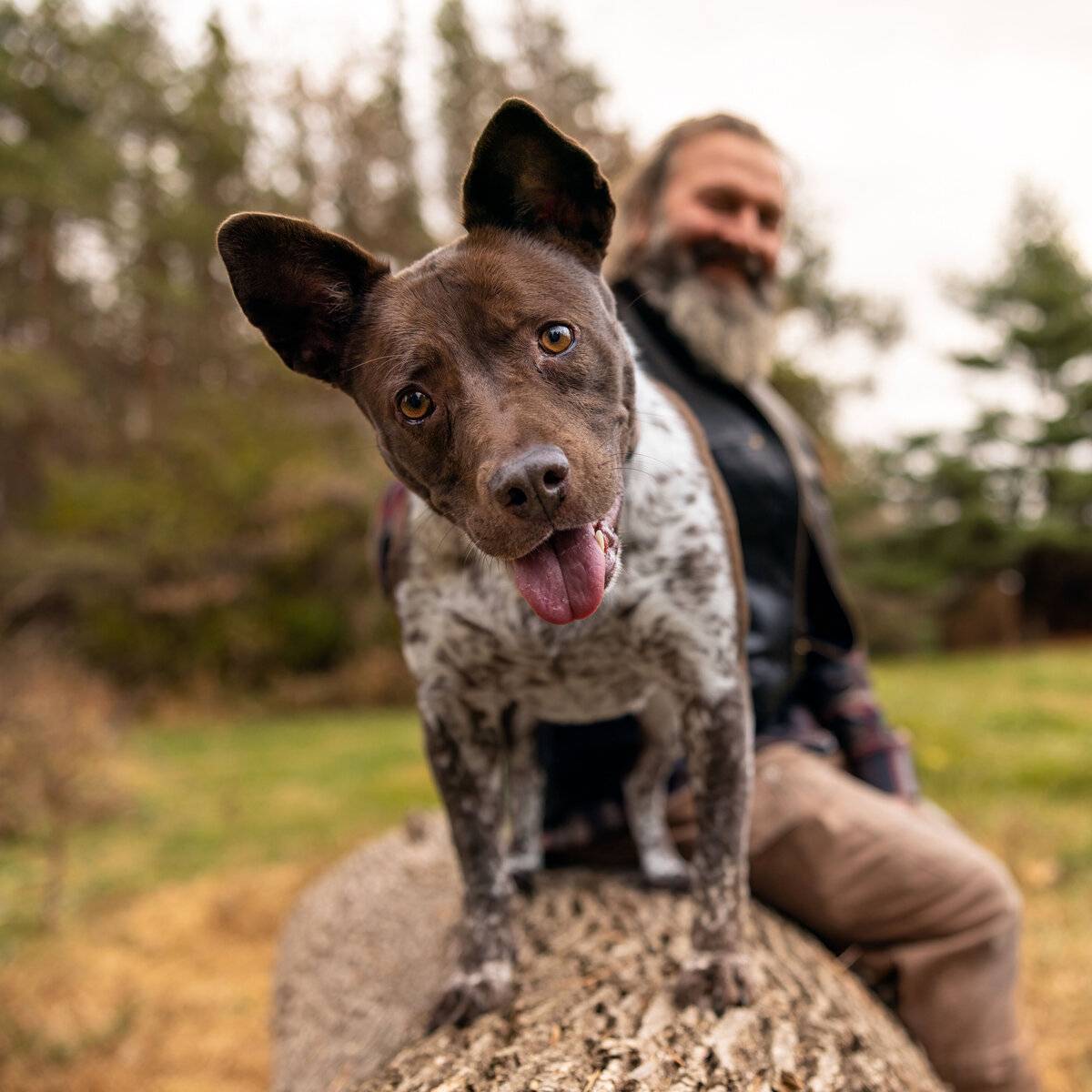 dog-on-log-with-man-sitting