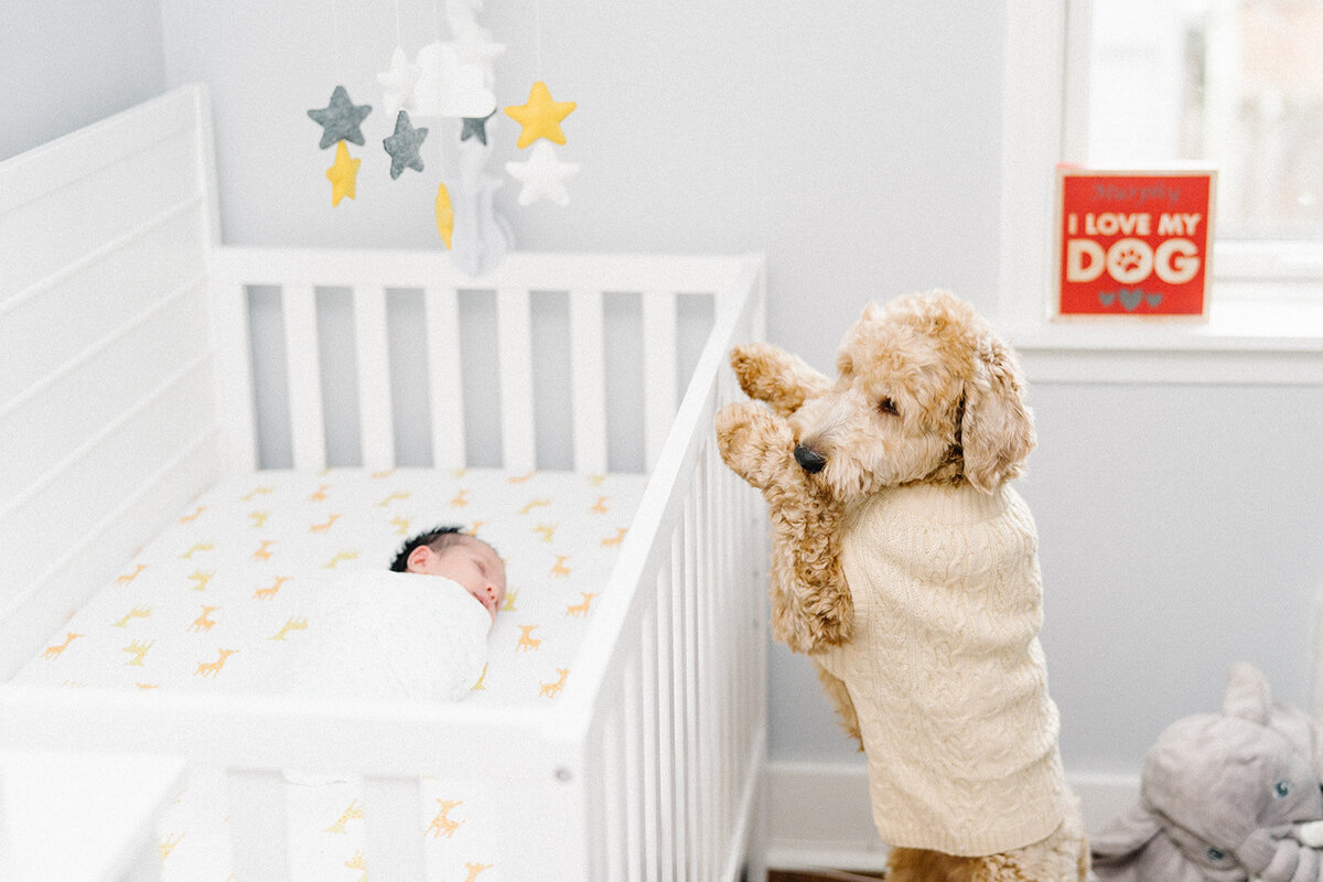 aiden-newborn-29_websize