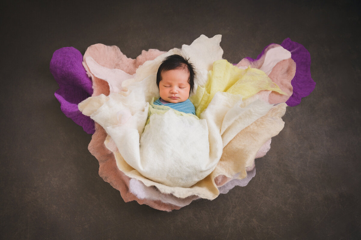 AnnaMunandarPhotography-20250718-SzuChiHuang-Newborn-Ariel-4101-Editsrgb-ev3000px