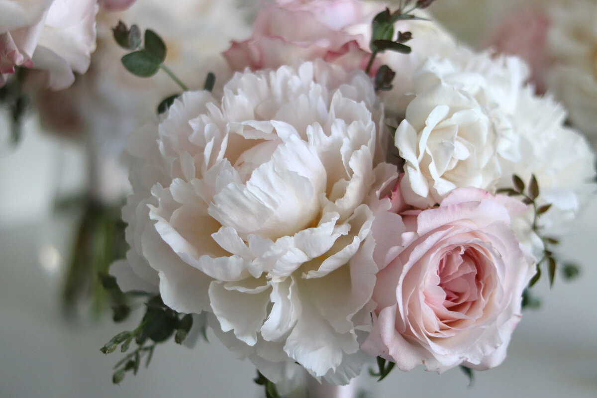 violet-arden-floral-utah-styled-shoot-florist