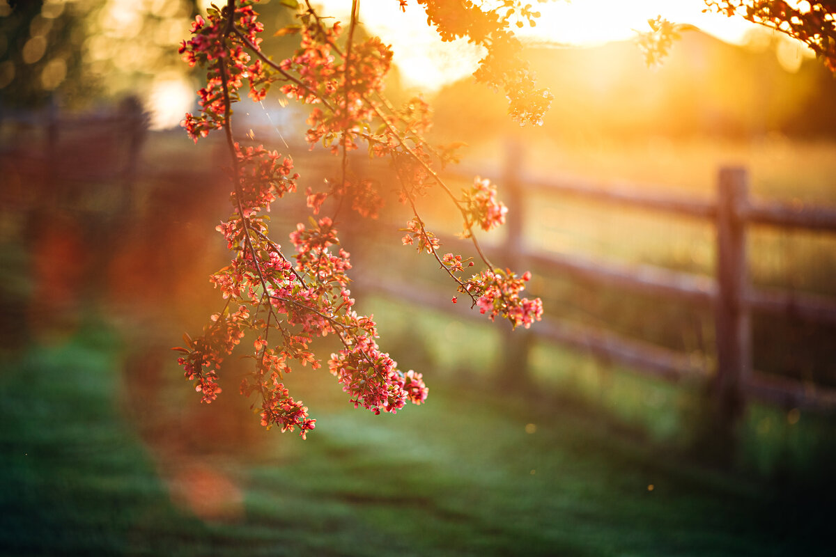 0L6A3831-Edit