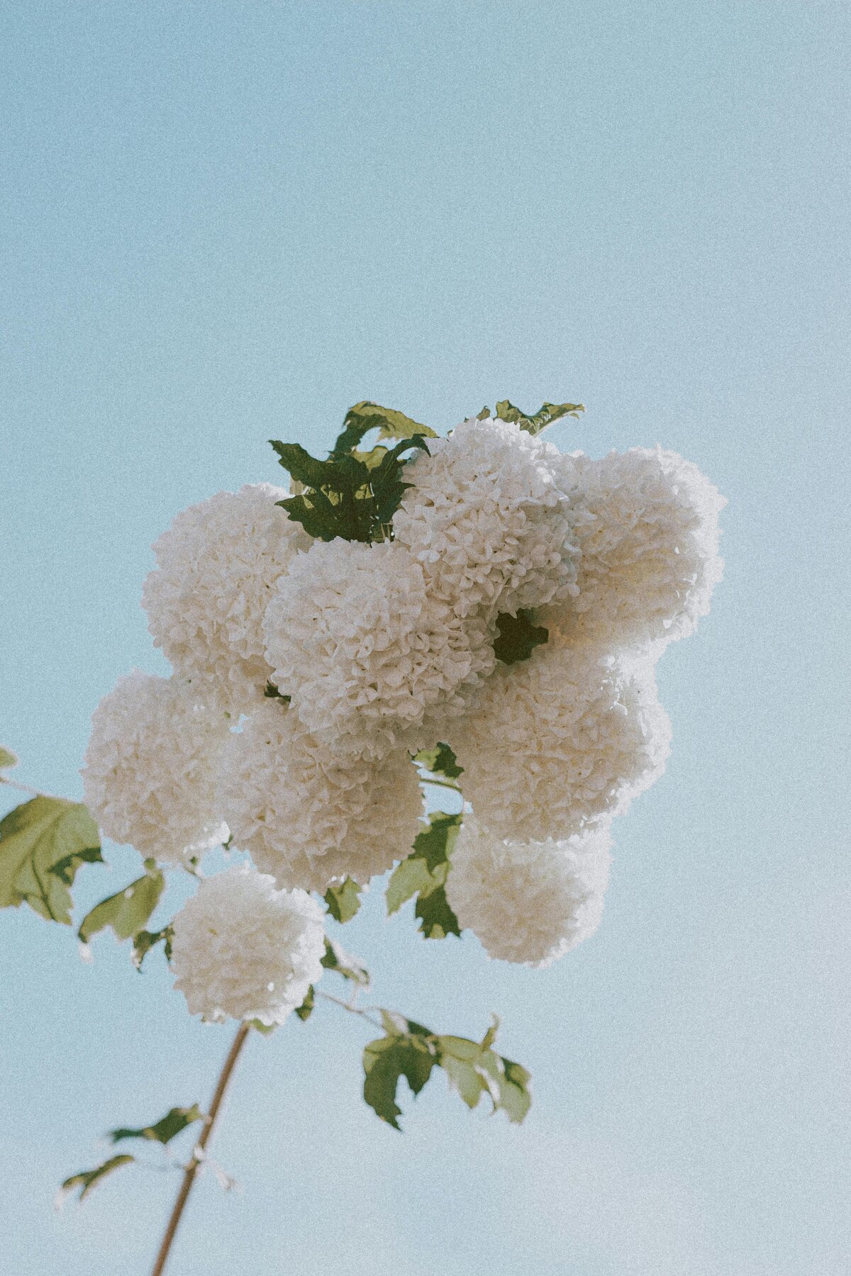 pexels-matreding-4394228