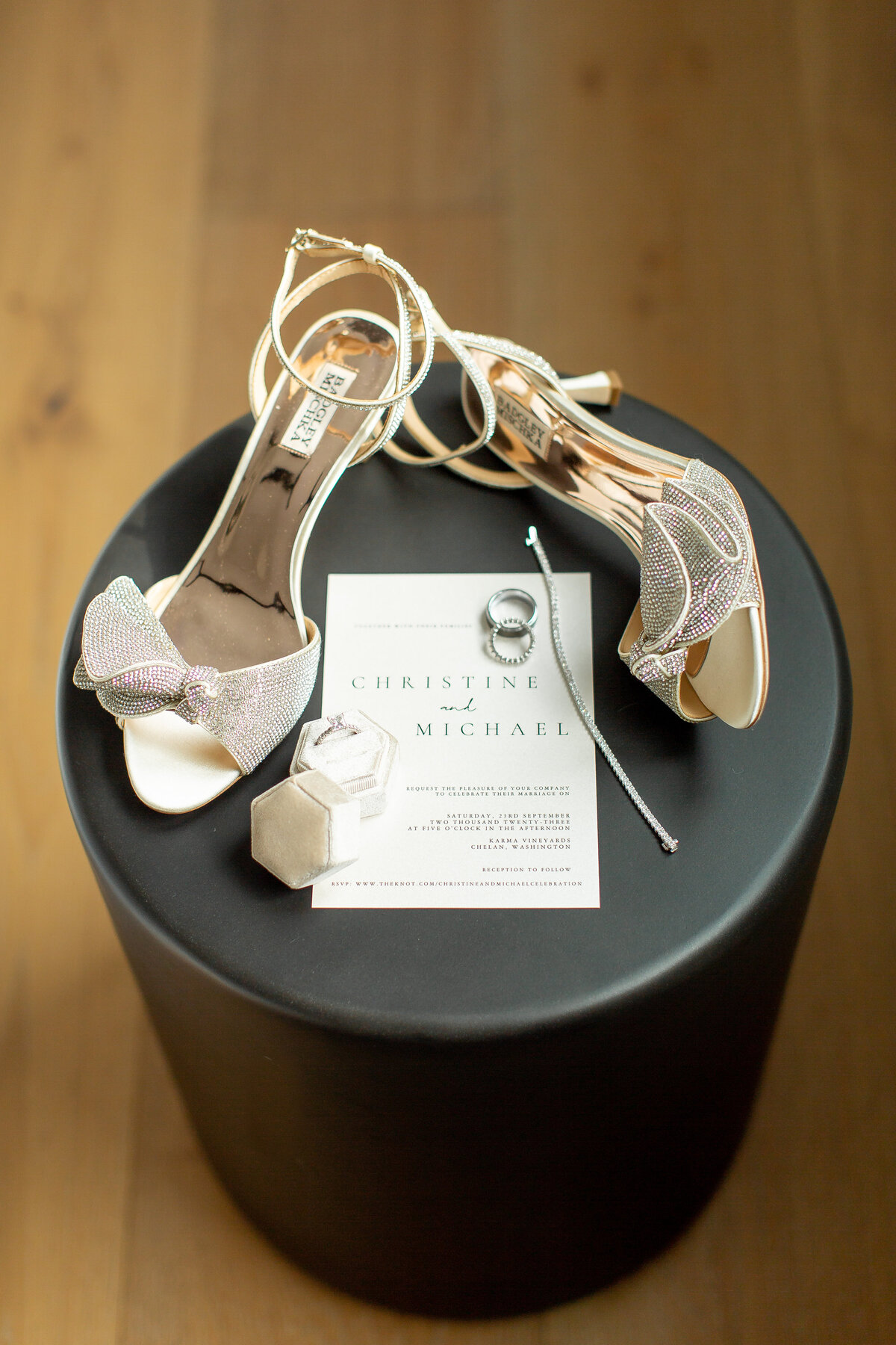 Michael and Christine previews Emily Moller Photography-6