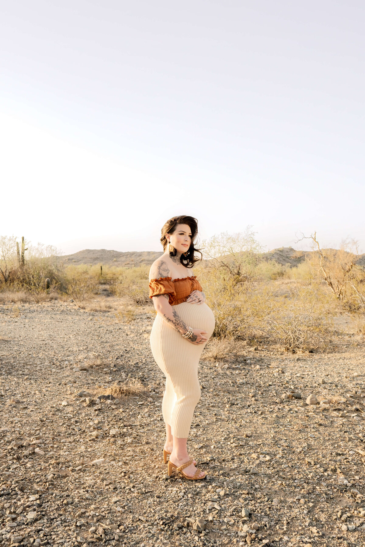 PhoenixDesertMaternity-2