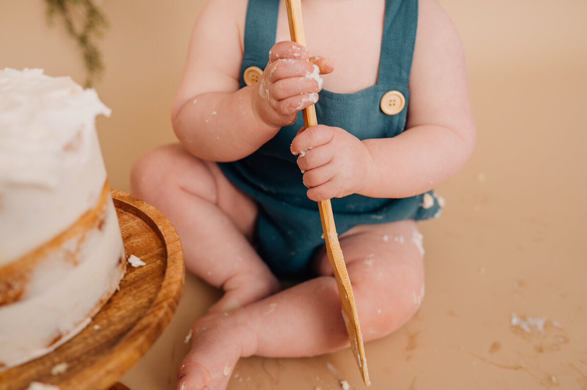 Canton CT Cake Smash Photographer-11